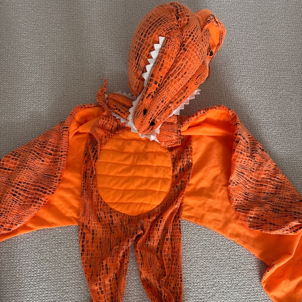 Pottery Barn kids dinosaur costume